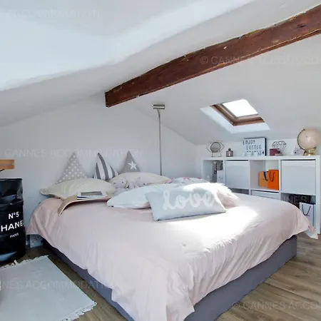 Merle Loft Daire Cannes