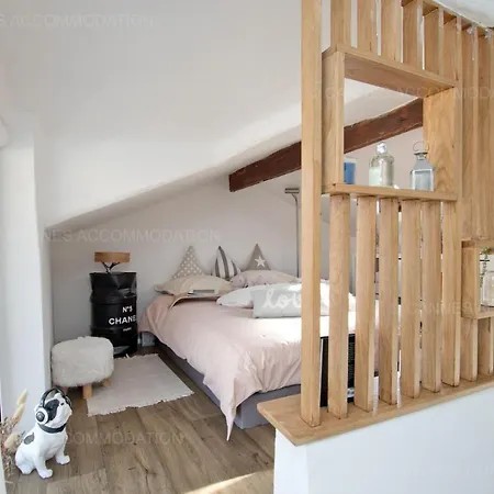 Merle Loft Daire
